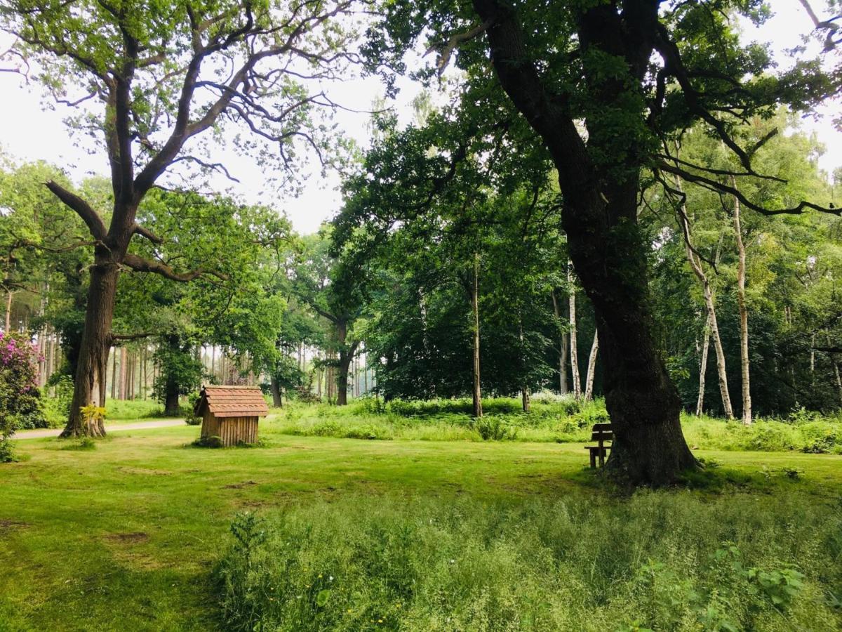 Hollicarrs Holiday Park - Hares Leap Riccall المظهر الخارجي الصورة
