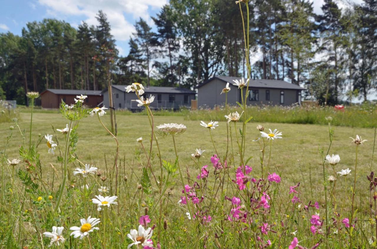 Hollicarrs Holiday Park - Hares Leap Riccall المظهر الخارجي الصورة
